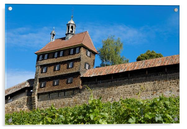 Esslingen Germany Castle Wall Acrylic by Matthias Hauser