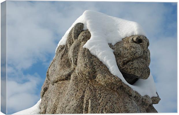 Snow-covered lion statue Stuttgart Canvas Print by Matthias Hauser