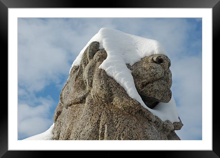 Snow-covered lion statue Stuttgart Framed Mounted Print by Matthias Hauser
