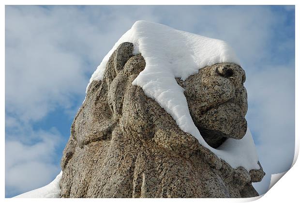 Snow-covered lion statue Stuttgart Print by Matthias Hauser