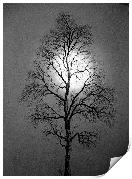 Moonglow Print by james richmond