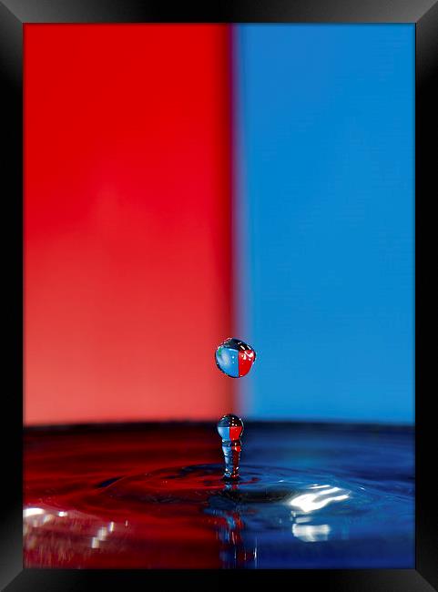 Water Droplet Red/Blue Framed Print by Jade Wylie