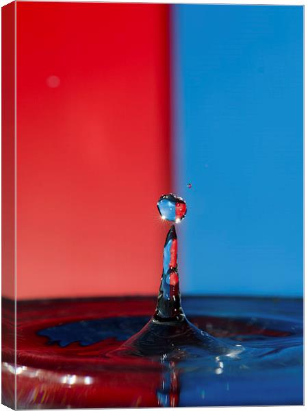 Water Droplet Canvas Print by Jade Wylie