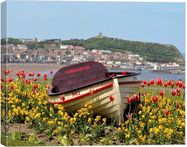 Boat in the flower Bed Canvas Print by Andrew McCauley
