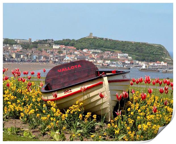 Boat in the flower Bed Print by Andrew McCauley