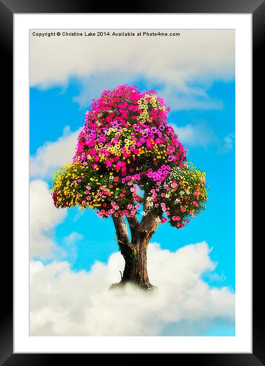 The Summer Tree Framed Mounted Print by Christine Lake