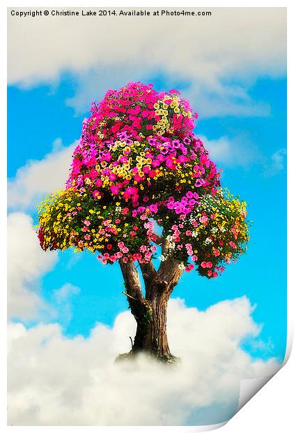 The Summer Tree Print by Christine Lake