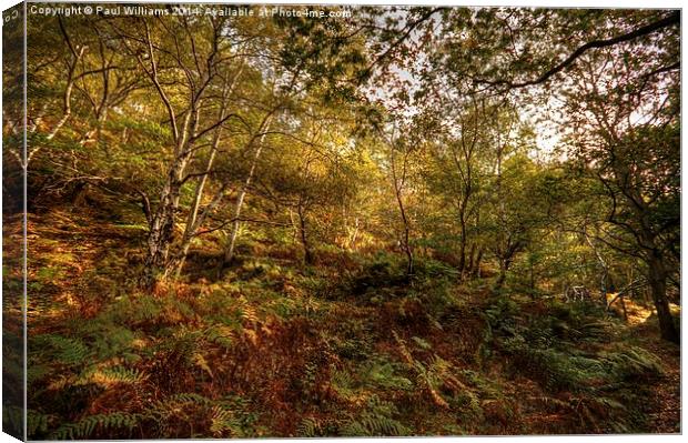 Woodland Canvas Print by Paul Williams