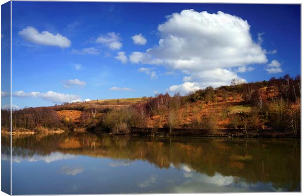 Ulley Reservoir Reflections Canvas Print by Darren Galpin