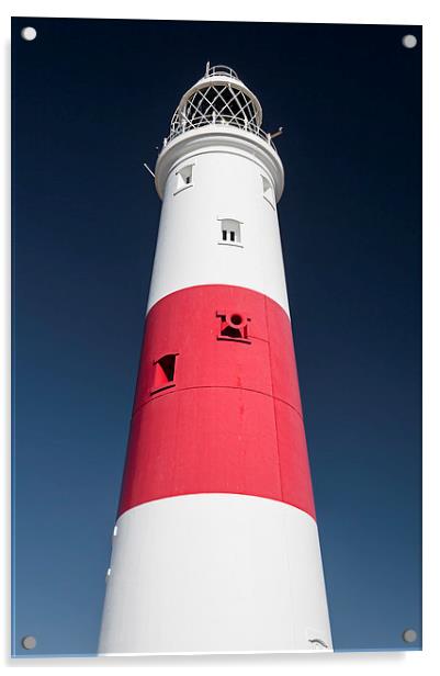 Portland Bill Lighthouse Acrylic by Chris Frost