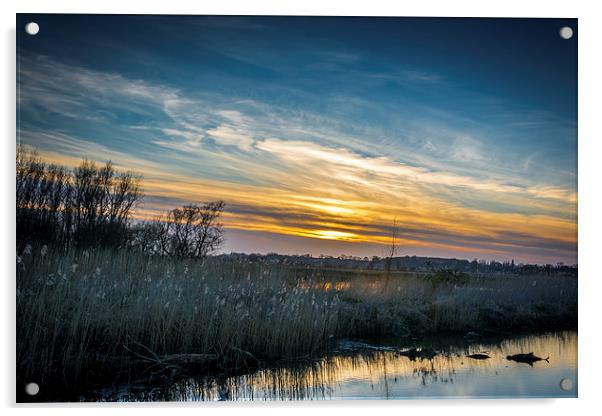 Sunset over Oulton Marshes Acrylic by Mark Ewels