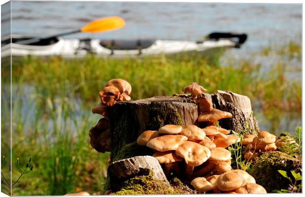 Viksjön, Sweden, kayak and mushrooms Canvas Print by Peter Bundgaard Kris