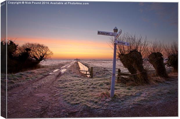 Dawn at Tealham Moor Canvas Print by Nick Pound