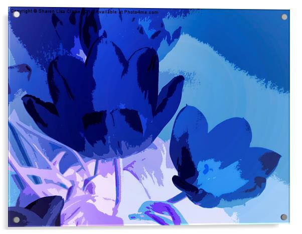 Abstract Tulips 2 Acrylic by Sharon Lisa Clarke