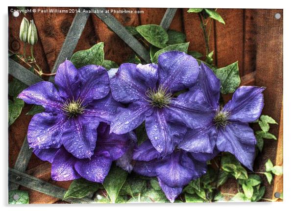 Wet Clematis Acrylic by Paul Williams