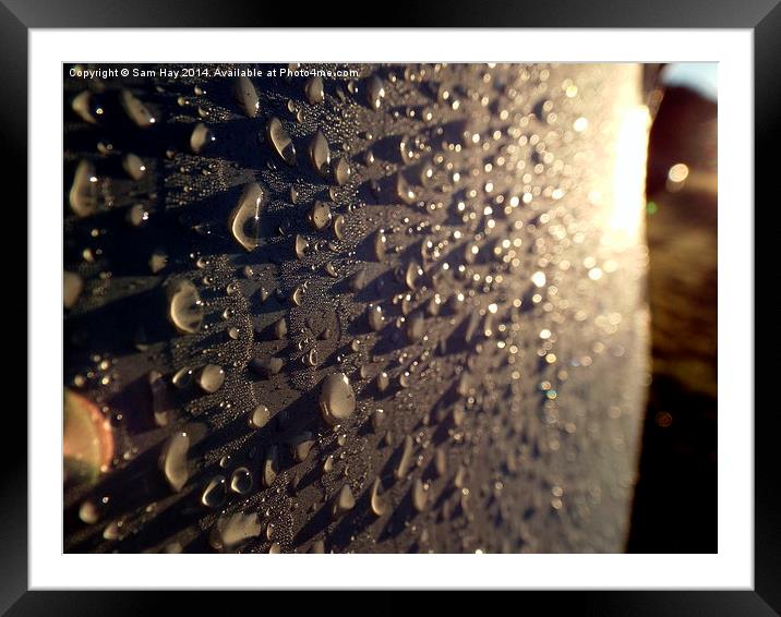 Droplets at Dawn Framed Mounted Print by Sam Hay
