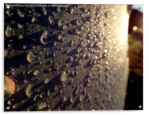 Droplets at Dawn Acrylic by Sam Hay