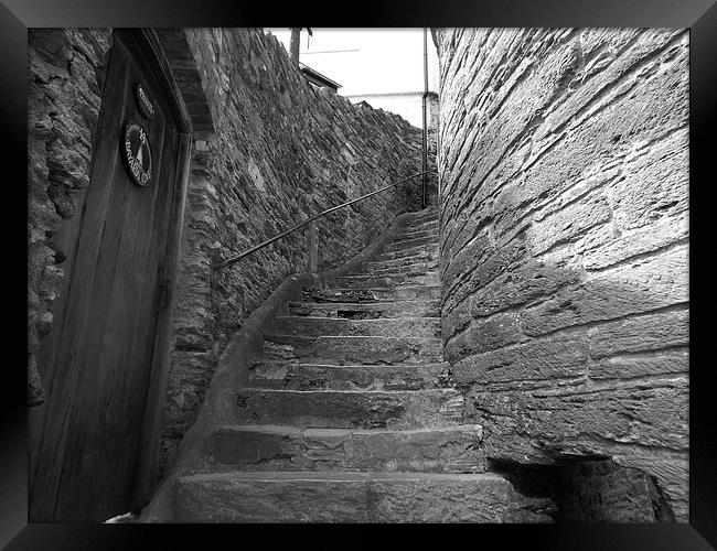 Black and White, Stairs, Devon Framed Print by Sam Hay