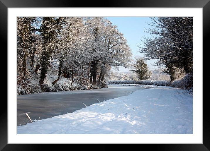 Winter Wonderland Framed Mounted Print by Steve Allen