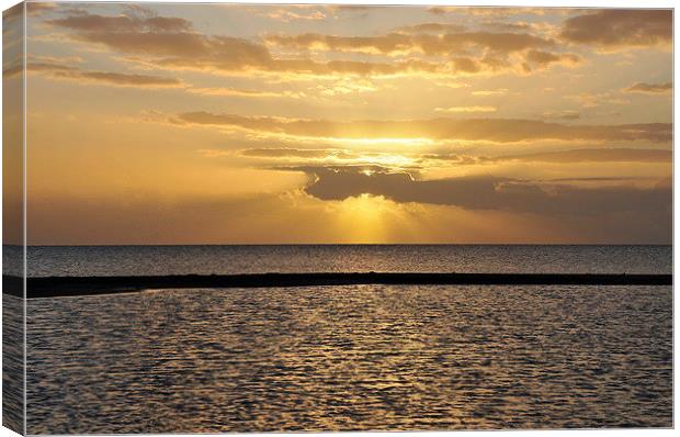 Sunset at Mangroovy Beach Canvas Print by Jacqueline Burrell