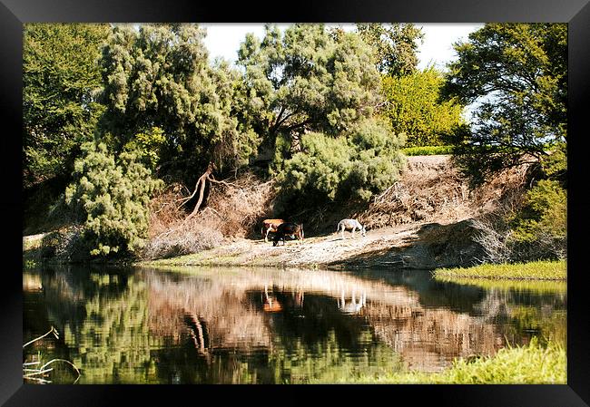 Rustic Scene Framed Print by Jacqueline Burrell