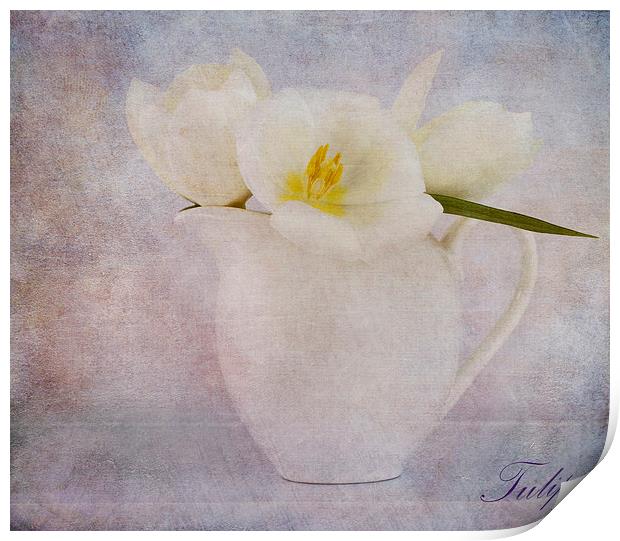 Tulip Print by Fine art by Rina