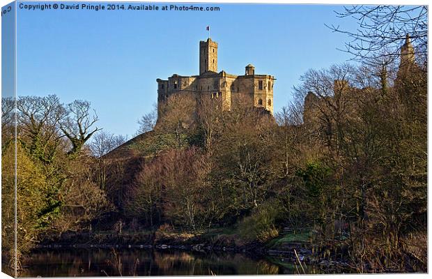 Warkworth Castle Canvas Print by David Pringle