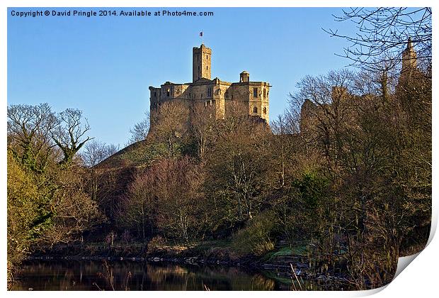 Warkworth Castle Print by David Pringle