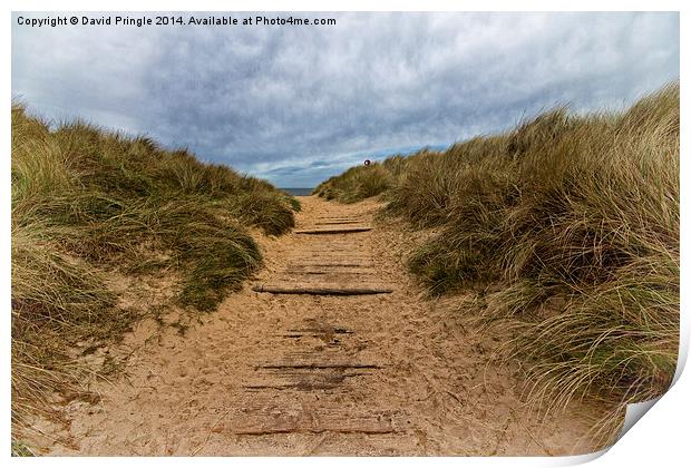 Path to the Sea Print by David Pringle