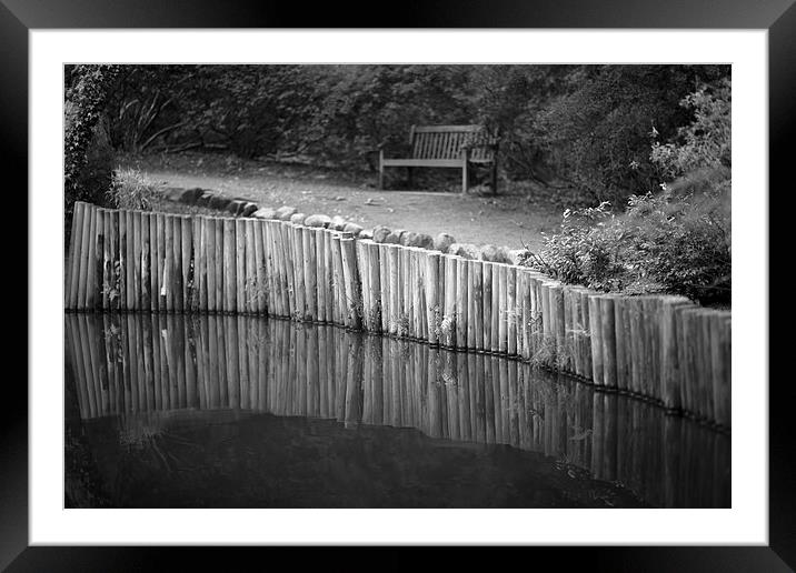 Clyne Valley pool Framed Mounted Print by Leighton Collins