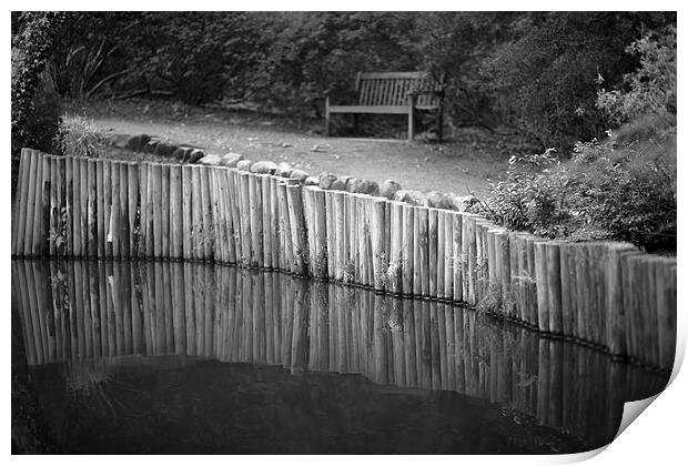 Clyne Valley pool Print by Leighton Collins