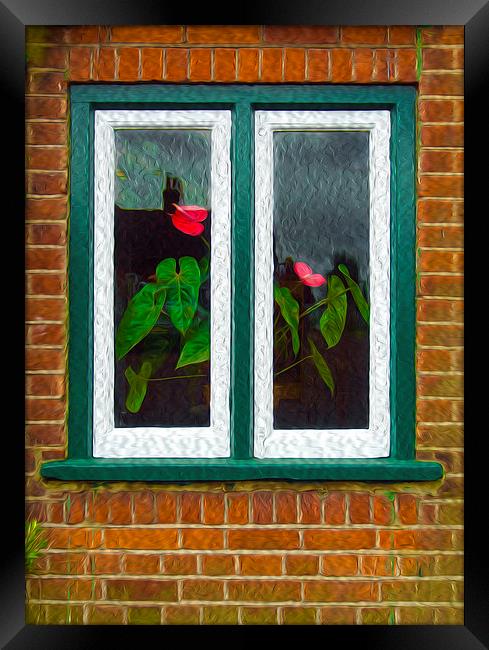 Though The Window Framed Print by Clive Eariss