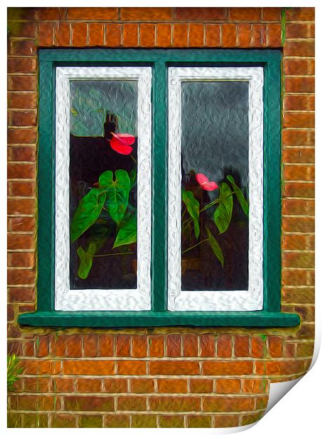 Though The Window Print by Clive Eariss