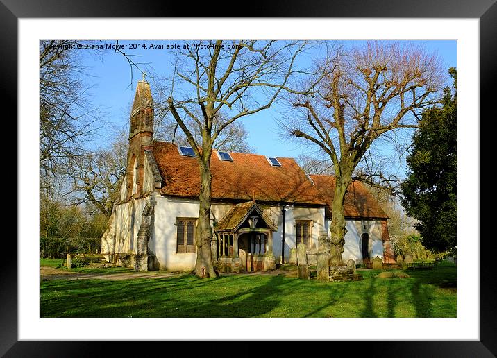 Tolleshunt Knights Church Framed Mounted Print by Diana Mower
