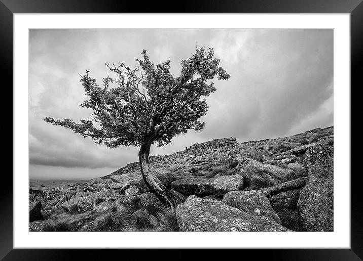 Belstone Tor Framed Mounted Print by Nick Pound