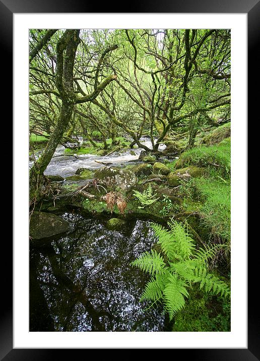 A World of Green Framed Mounted Print by Nick Pound
