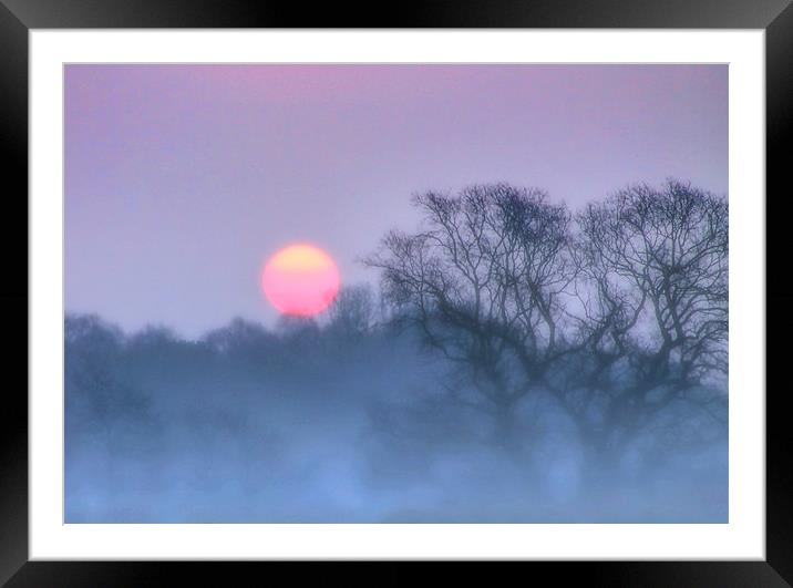Sunrise in the mist Framed Mounted Print by Valerie Anne Kelly