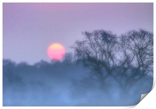 Sunrise in the mist Print by Valerie Anne Kelly