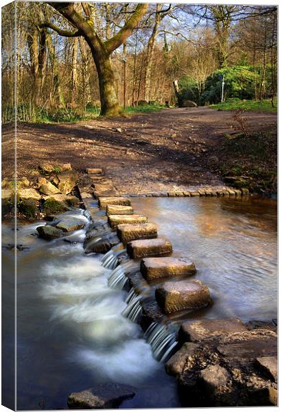Porter Brook Stepping Stones & Falls Canvas Print by Darren Galpin