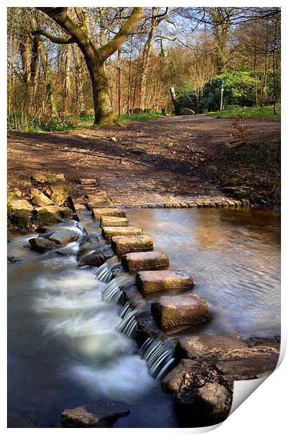 Porter Brook Stepping Stones & Falls Print by Darren Galpin