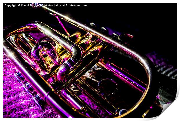 Cornet Print by David Barber