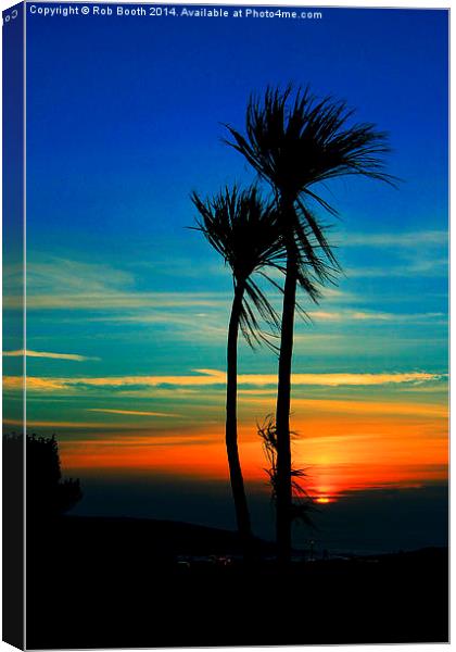 Sunset Palms Canvas Print by Rob Booth