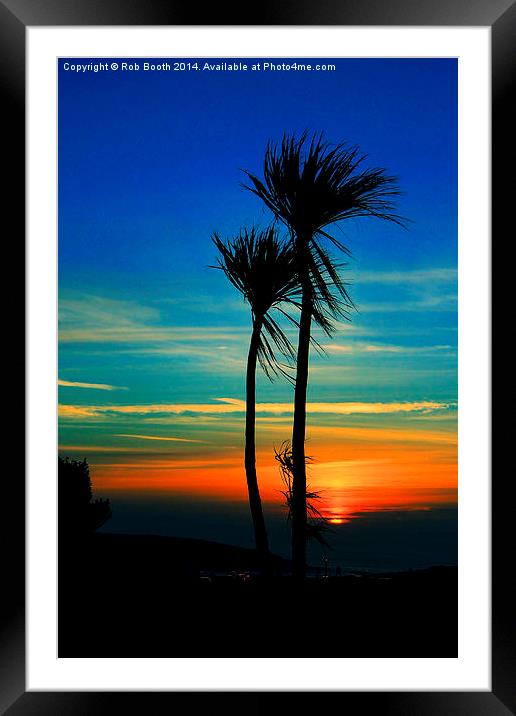 Sunset Palms Framed Mounted Print by Rob Booth
