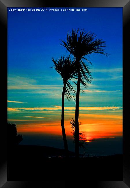 Sunset Palms Framed Print by Rob Booth