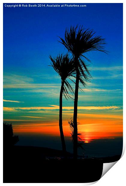 Sunset Palms Print by Rob Booth