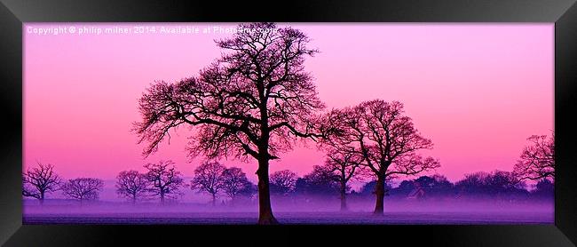 Misty Sunrise In Warwickshire Framed Print by philip milner