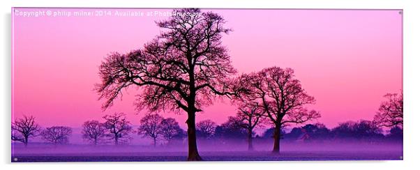 Misty Sunrise In Warwickshire Acrylic by philip milner