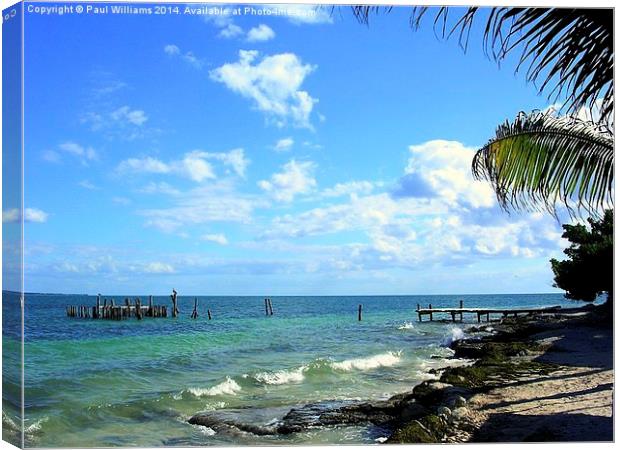 The Old Jetty Canvas Print by Paul Williams