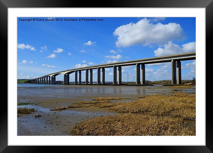 The Orwell Bridge Framed Mounted Print by Diana Mower
