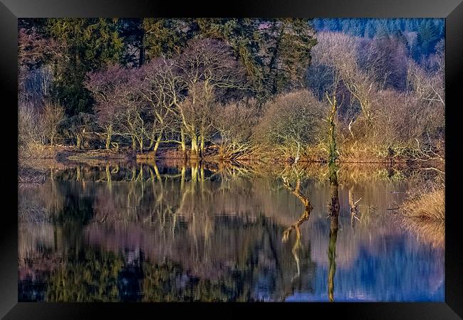 River Reflections Framed Print by Adrian Hargan